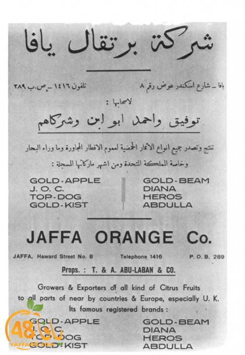 jaffa orangeej (3).jpg
